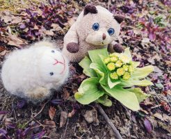 シイタローくんとはなちゃん