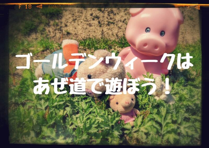 あぜ道で遊ぶアミーゴス
