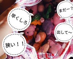 アミーゴス引っ越し準備をする