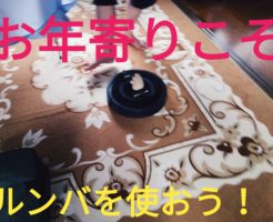 お年寄りこそルンバを使おう!