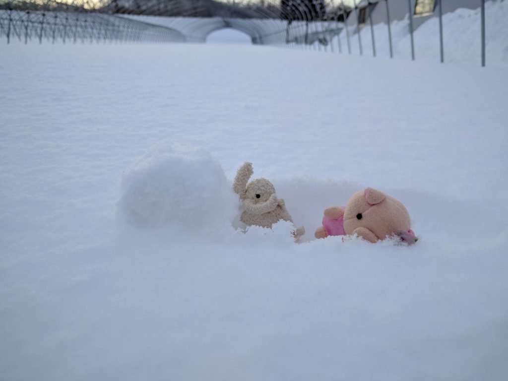 子供達の雪遊び