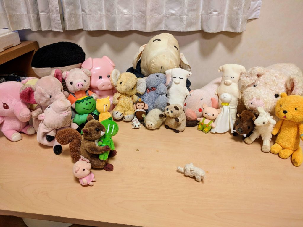 わさいちくんを連れて来たちかちゃん