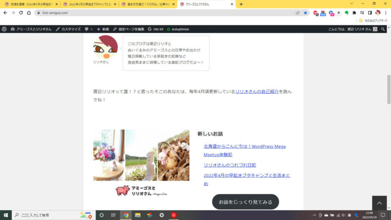 このブログのトップページ画像