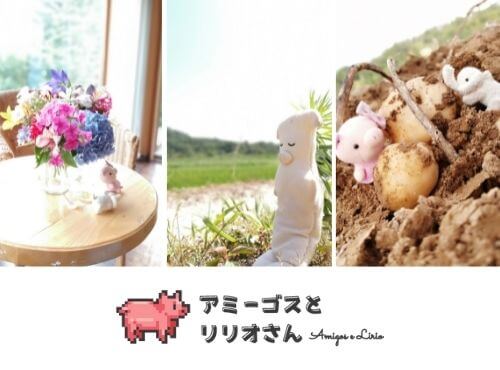 アミーゴスとリリオさん