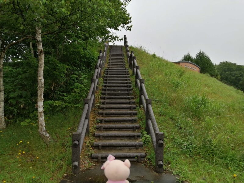 遺跡の丘につづく階段