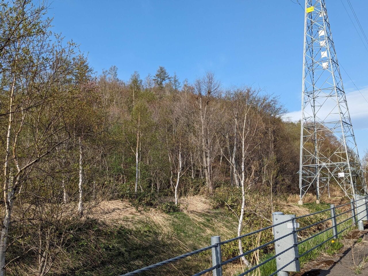 北住吉駅跡地